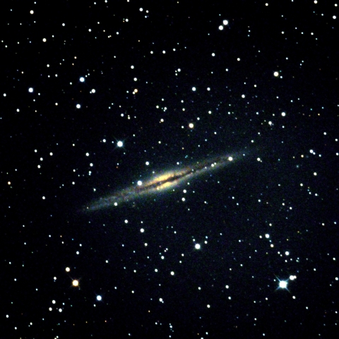 NGC891
