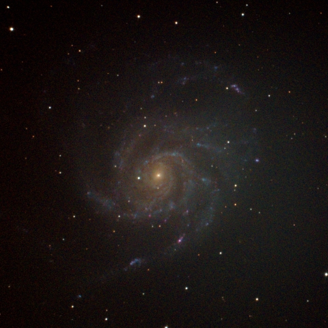M101