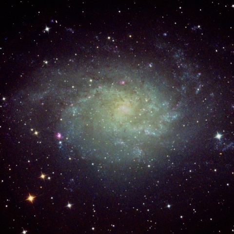 M33