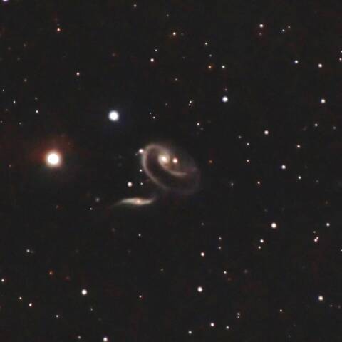 ばら銀河  Arp273  アンドロメダ座