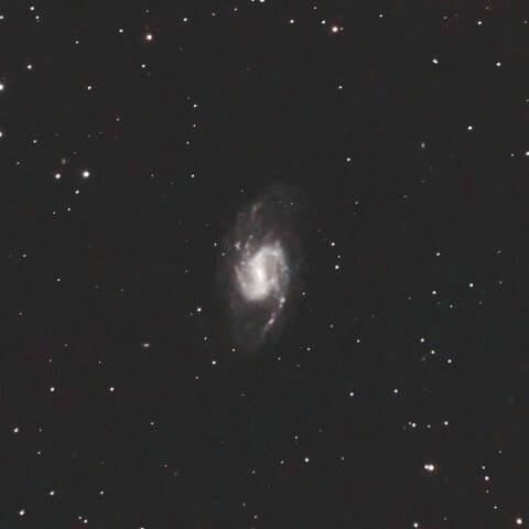 NGC3359 渦巻銀河 おおぐま座
