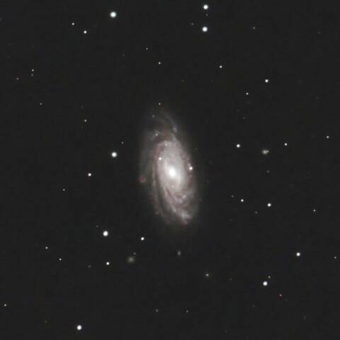 NGC3953 渦巻銀河 おおぐま座