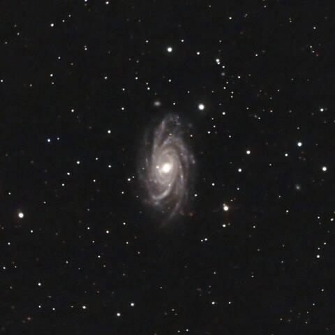 NGC2336 渦巻銀河 きりん座