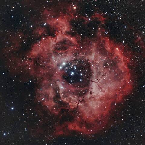 NGC2237 バラ星雲 いっかくじゅう座