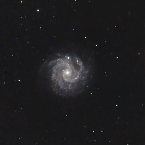 NGC3184 渦巻銀河 おおぐま座