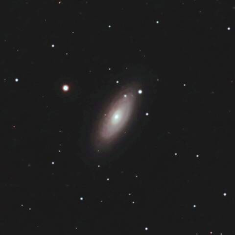 NGC2841 渦巻銀河 おおぐま座