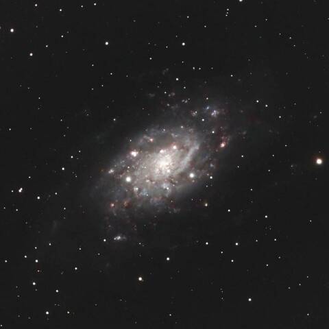 NGC2403 渦巻銀河 きりん座
