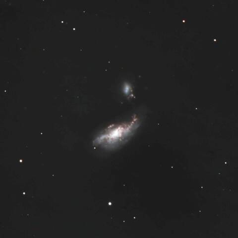NGC4490 まゆ銀河 りょうけん座
