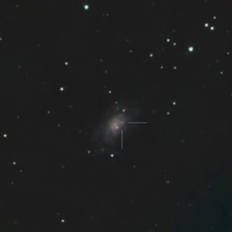 SN2024ahv 超新星 NGC6106 ヘラクレス座