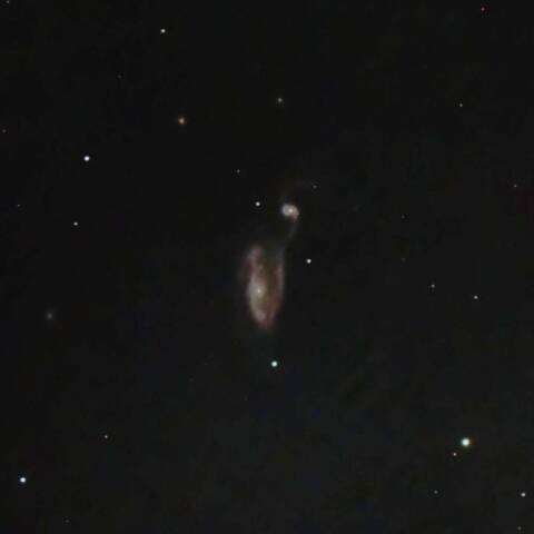NGC5395 さぎ銀河 りょうけん座