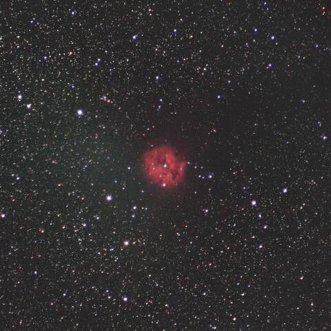 IC5146 まゆ星雲 はくちょう座