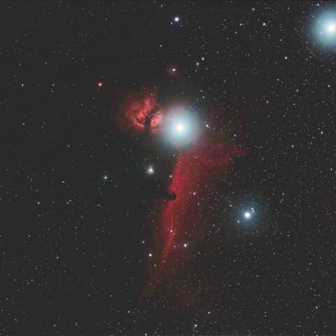 IC434 馬頭星雲付近 オリオン座