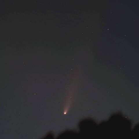 C/2023 A3 紫金山・アトラス彗星  2024/10/17b