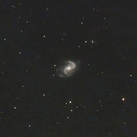 NGC895 渦巻銀河 くじら座