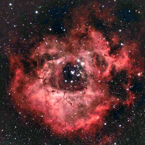 NGC2237 バラ星雲 いっかくじゅう座