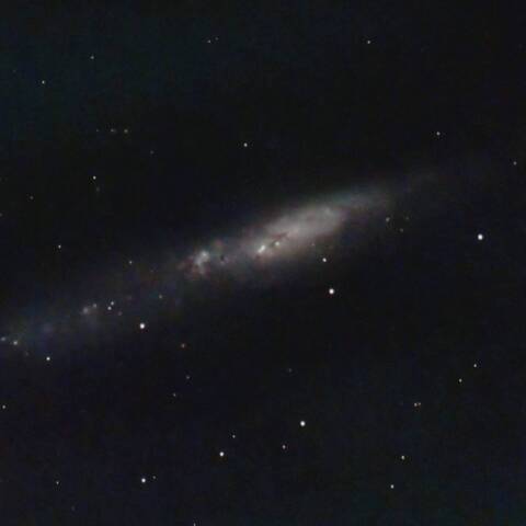 NGC55 不規則銀河 ちょうこくしつ座