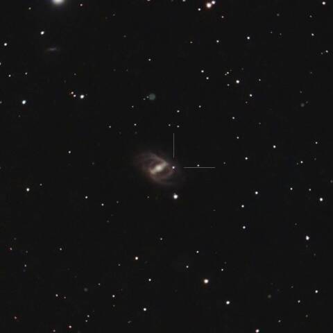 SN2024aeee 超新星 at NGC2523 きりん座