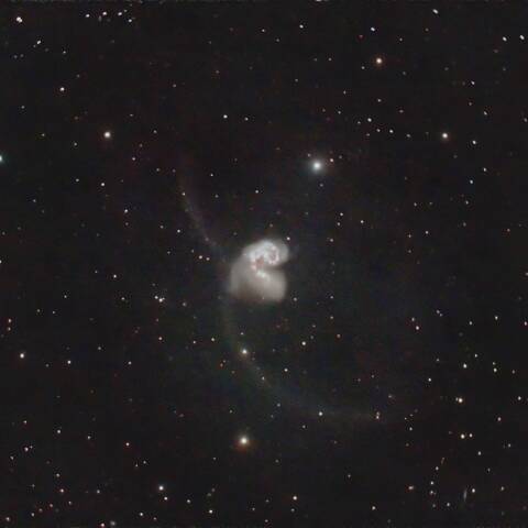 NGC4038 NGC4039 アンテナ銀河 からす座