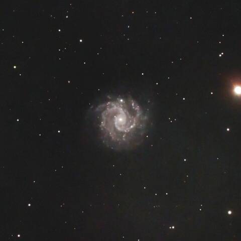 NGC3180 渦巻銀河 おおぐま座