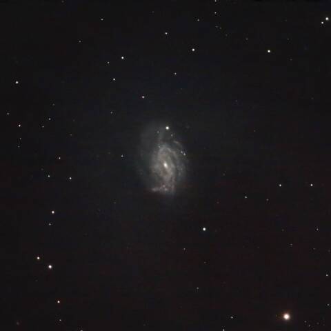NGC3726 渦巻銀河 おおぐま座
