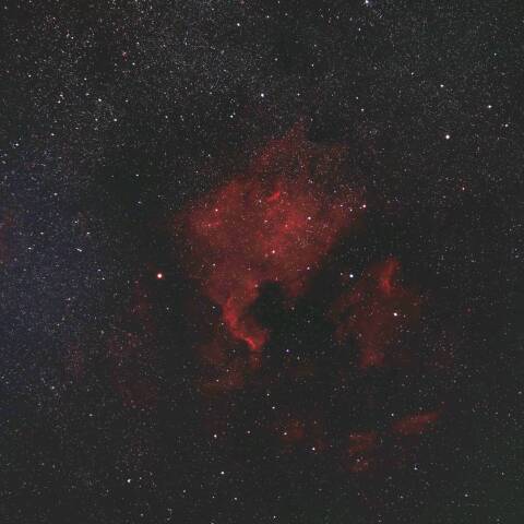 NGC7000 北アメリカ星雲 はくちょう座 by hltanaka