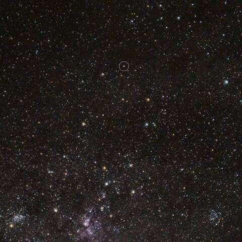 ほ座に出現した新星 Nova Vela 2025
