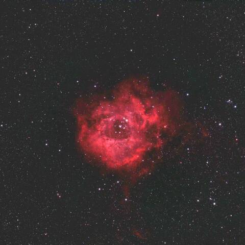NGC2244 ばら星雲 いっかくじゅう座