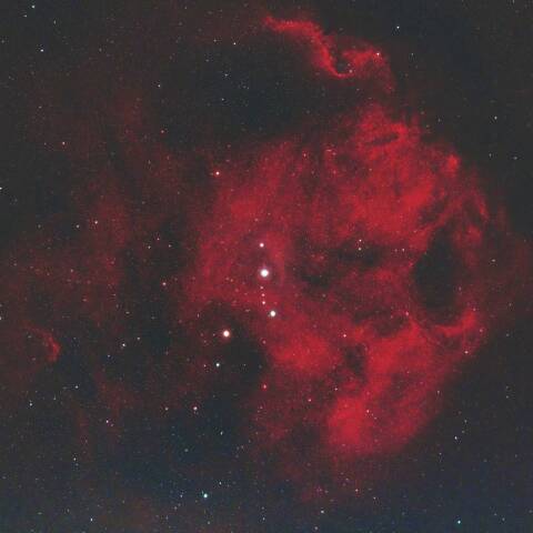 エンゼルフィッシュ星雲 Sh2-264 オリオン座