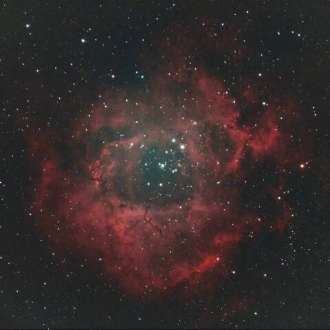 NGC2237 ばら星雲 いっかくじゅう座