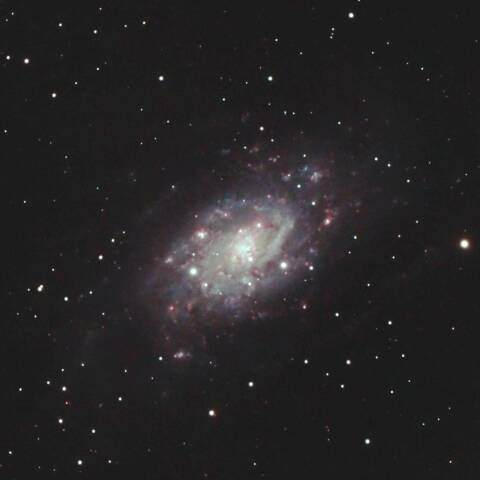NGC2403 渦巻銀河 きりん座