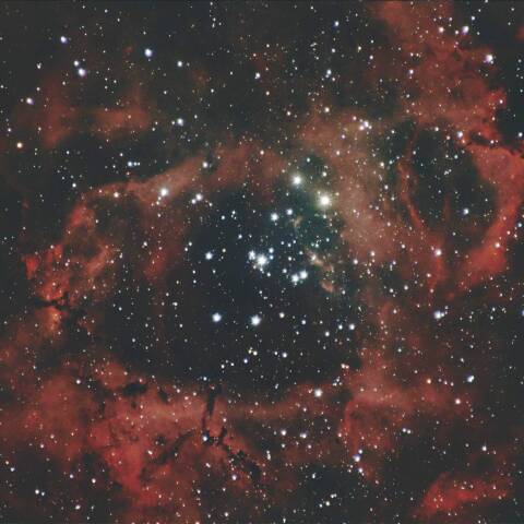 NGC2237 ばら星雲 いっかくじゅう座