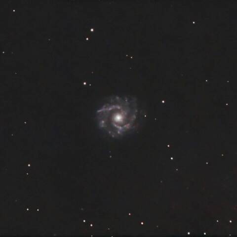 NGC3631 フェイスオン銀河  おおぐま座