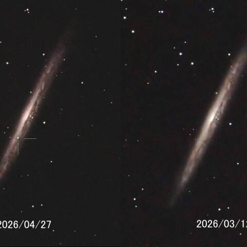 超新星SN2026kid at NGC5907りゅう座