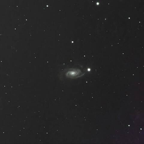 NGC3338 渦巻銀河 しし座