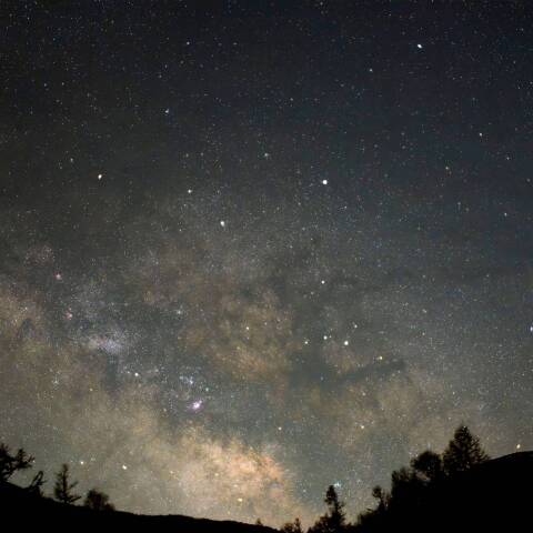 天の川を駆け上がるバンビ　