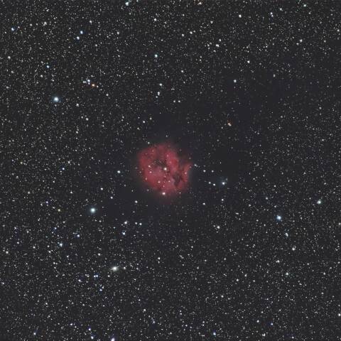 IC5146 まゆ星雲 はくちょう座
