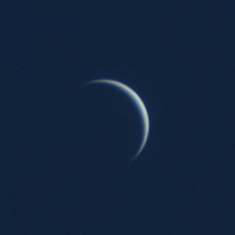 真昼の金星 2026/10/08