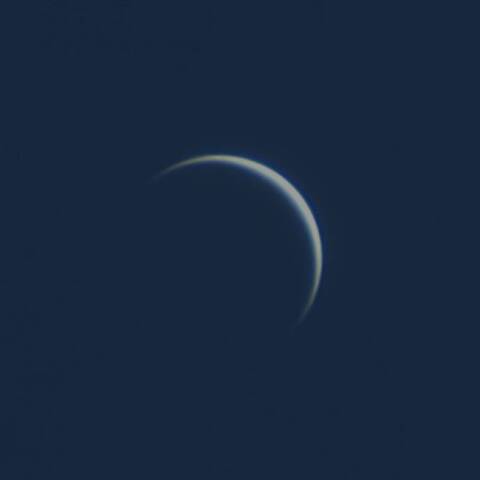 真昼の金星 2026/10/11