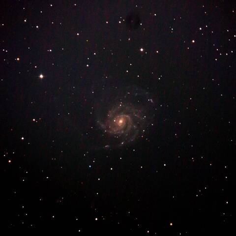 M101