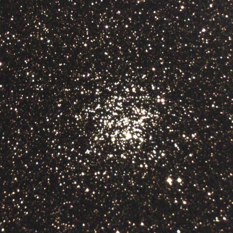 M11 たて座の散開星団