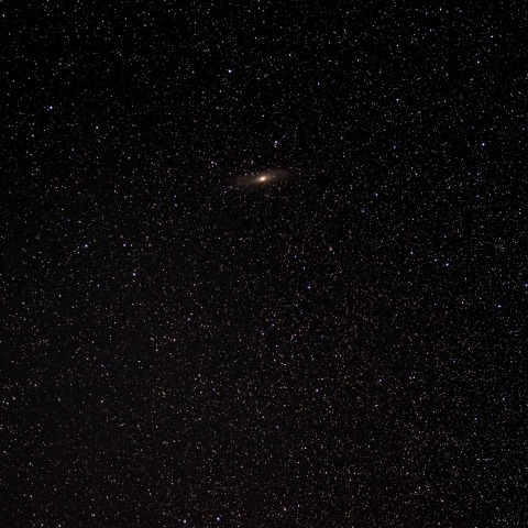 M31 アンドロメダ星雲