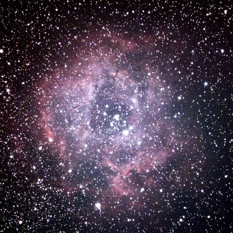 NGC2237 ばら星雲