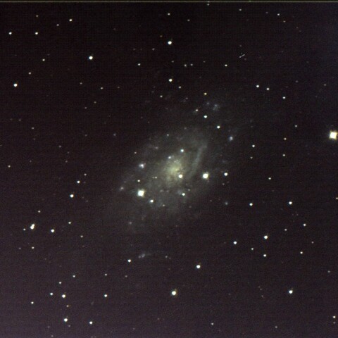 NGC2403 きりん座