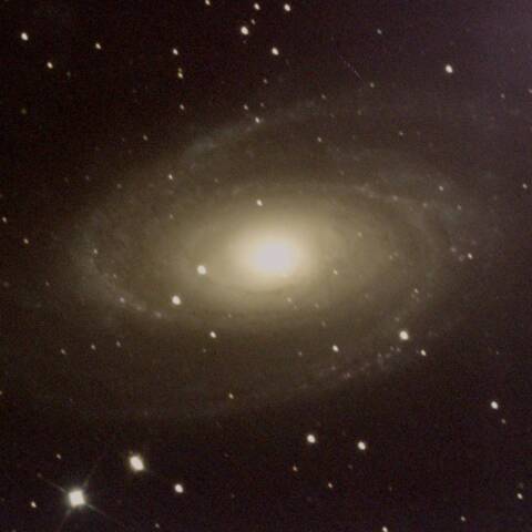 M81 おおぐま座