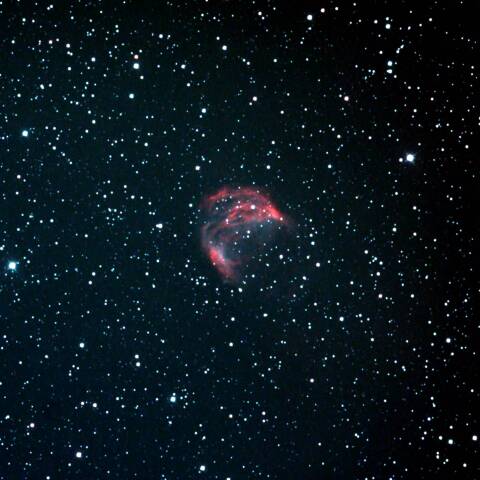 Sh2-274 メデューサ星雲