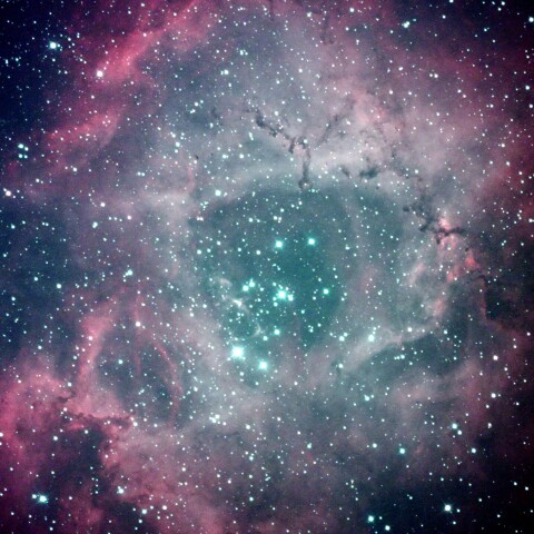 NGC2237 バラ星雲