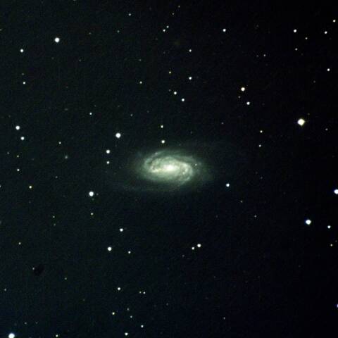 NGC2903 しし座
