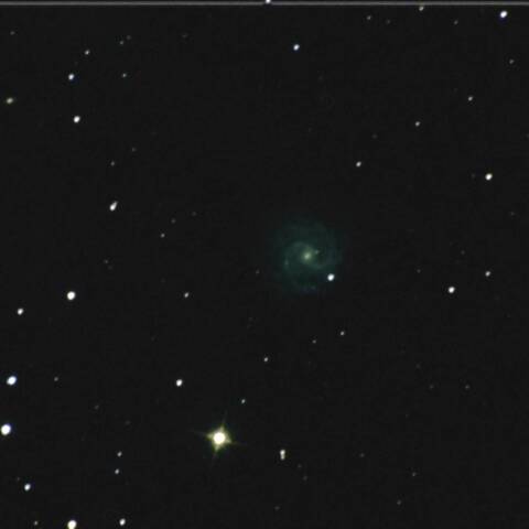 NGC3184 おおぐま座