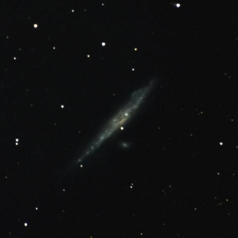 NGC4631 くじら銀河 りょうけん座