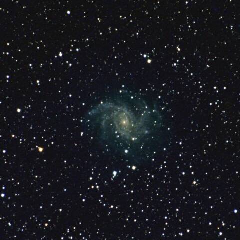 NGC6946 花火銀河　ケフェウス座